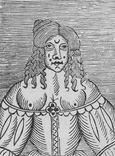 Een Tudor-dame met ontblote borsten, een illustratie uit 